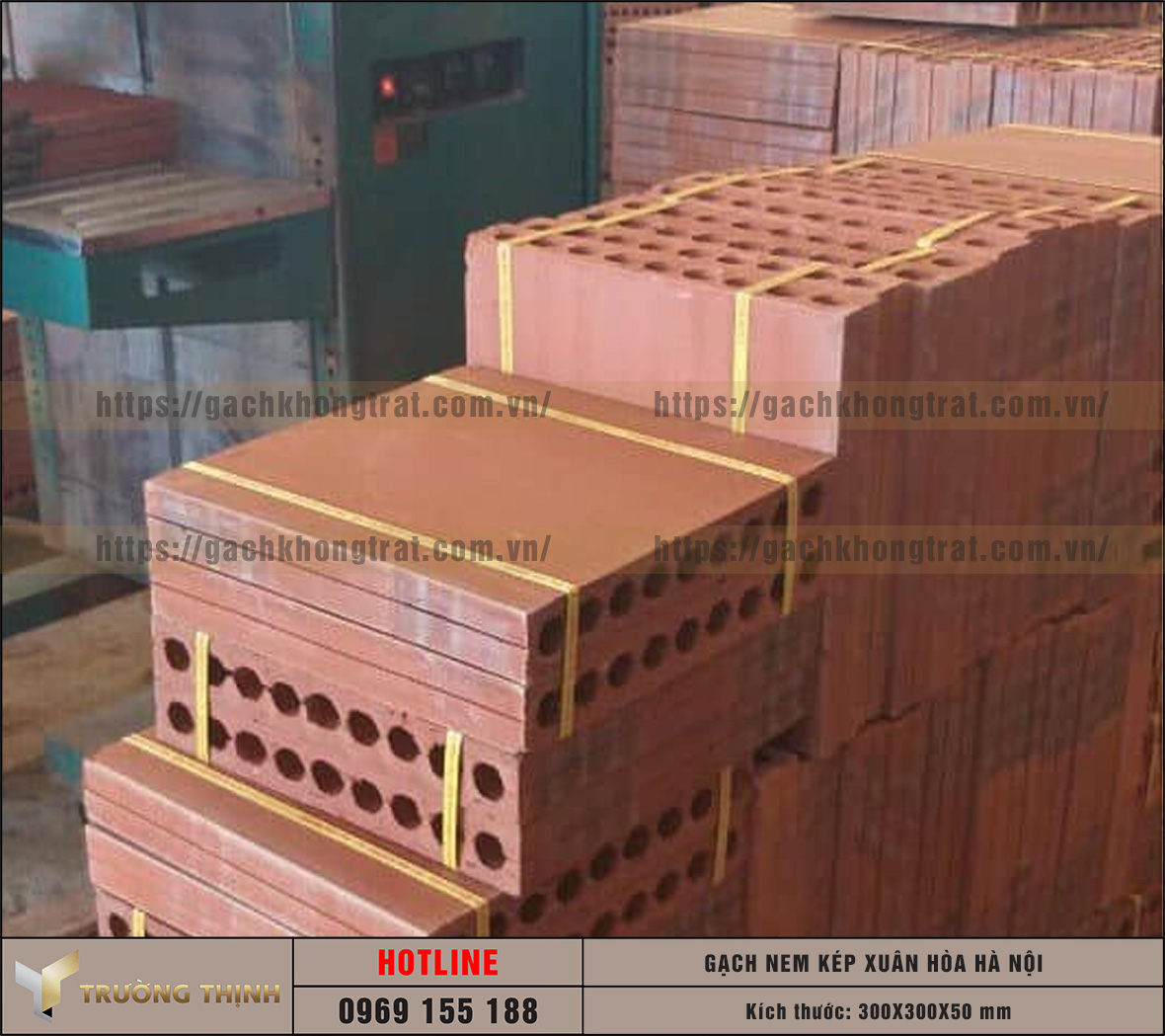 Báo giá gạch nem kép 300x300x50 Xuân Hòa Hà Nội: Giải pháp chống nóng bền vững cho mọi công trình