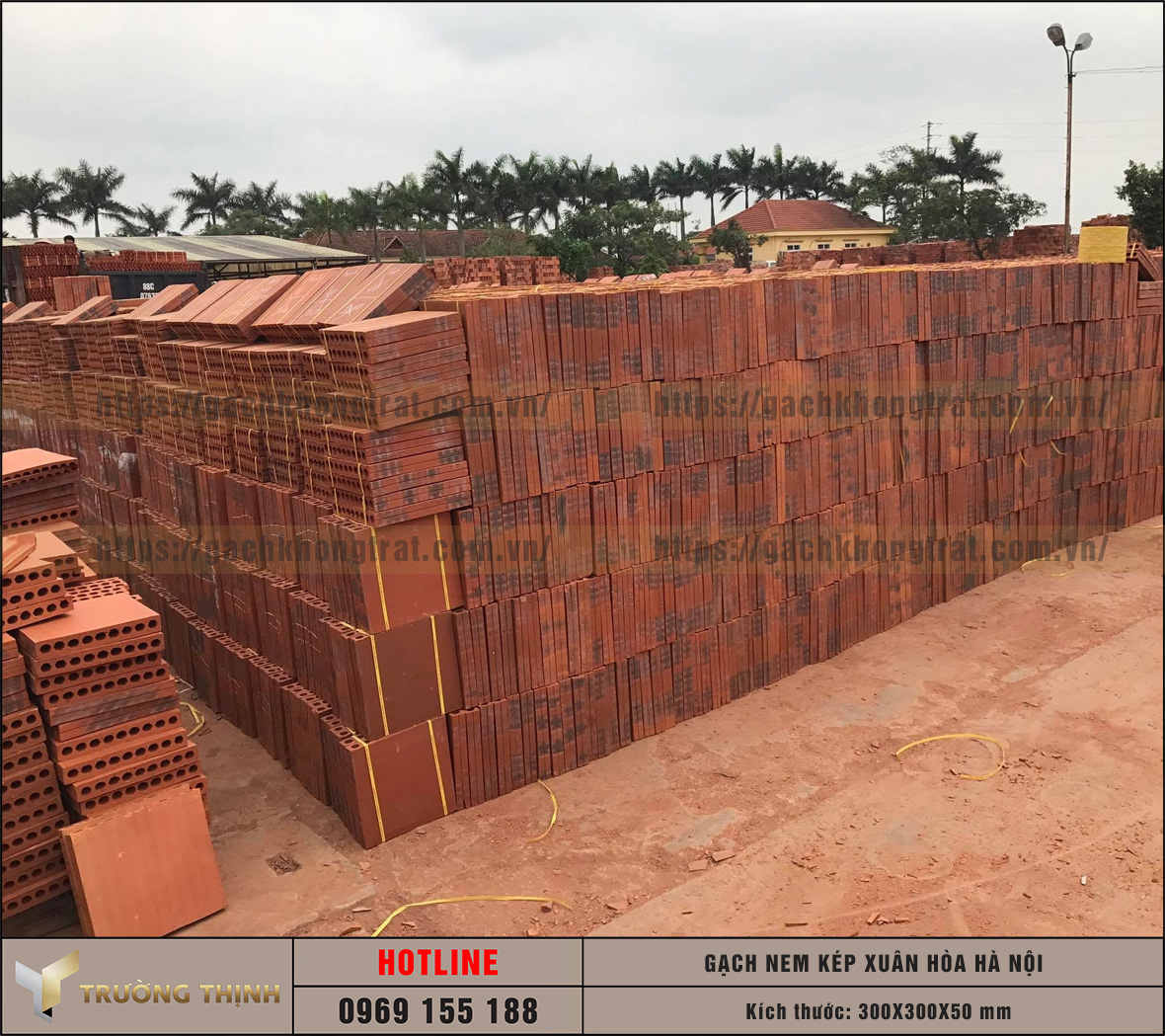 Báo giá gạch nem kép 300x300x50 Xuân Hòa Hà Nội: Giải pháp chống nóng bền vững cho mọi công trình