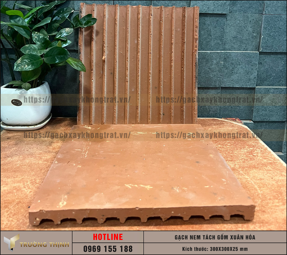 Báo giá gạch nem tách 300x300x25 gốm Xuân Hòa mới nhất 2026 | Trường Thịnh Group