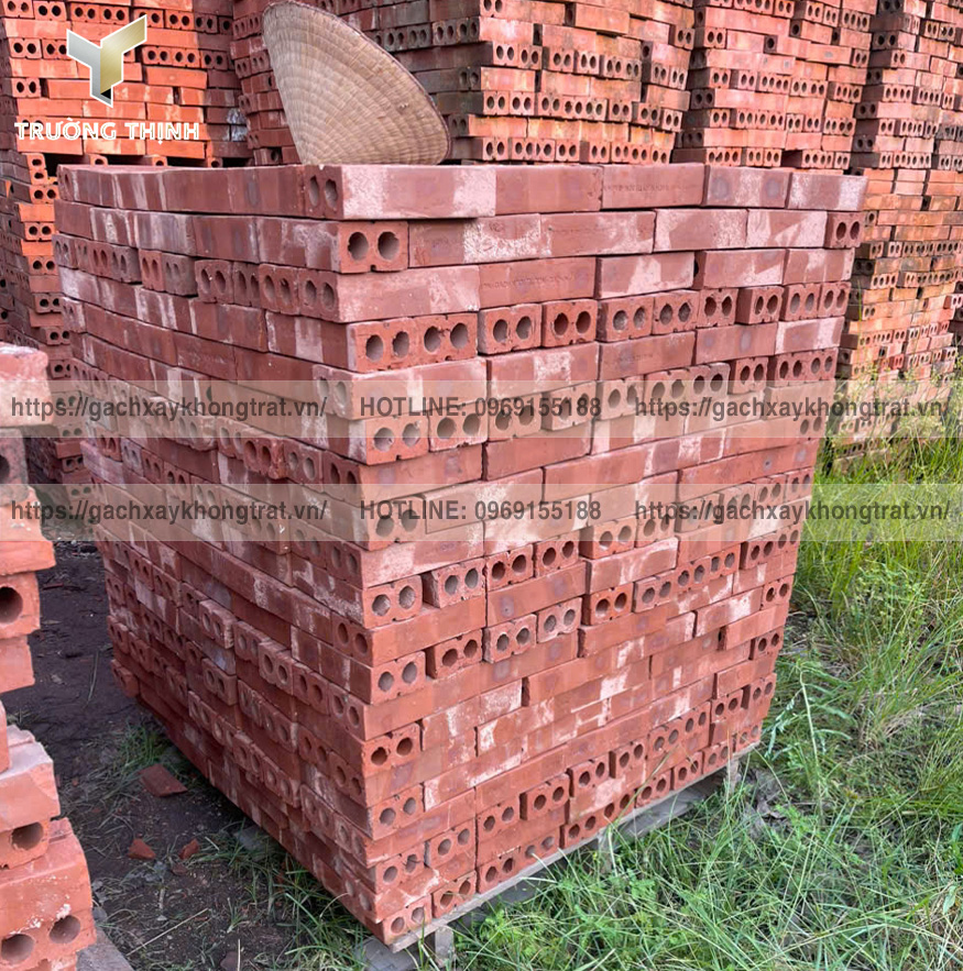 Báo giá gạch xây không trát 2 lỗ rẻ nhất 2026 | Viglacera Từ Sơn - Trường Thịnh Group
