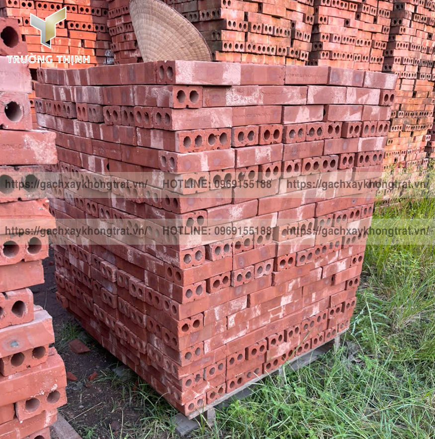 Báo giá gạch xây không trát 2 lỗ rẻ nhất 2026 | Viglacera Từ Sơn - Trường Thịnh Group