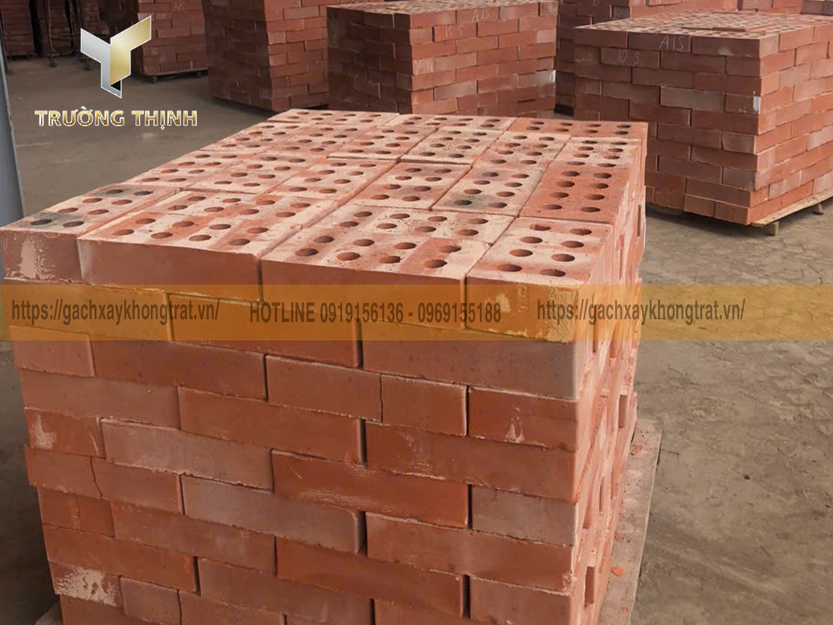 Gạch xây không trát 8 lỗ 382 Đông Anh tại nhà máy