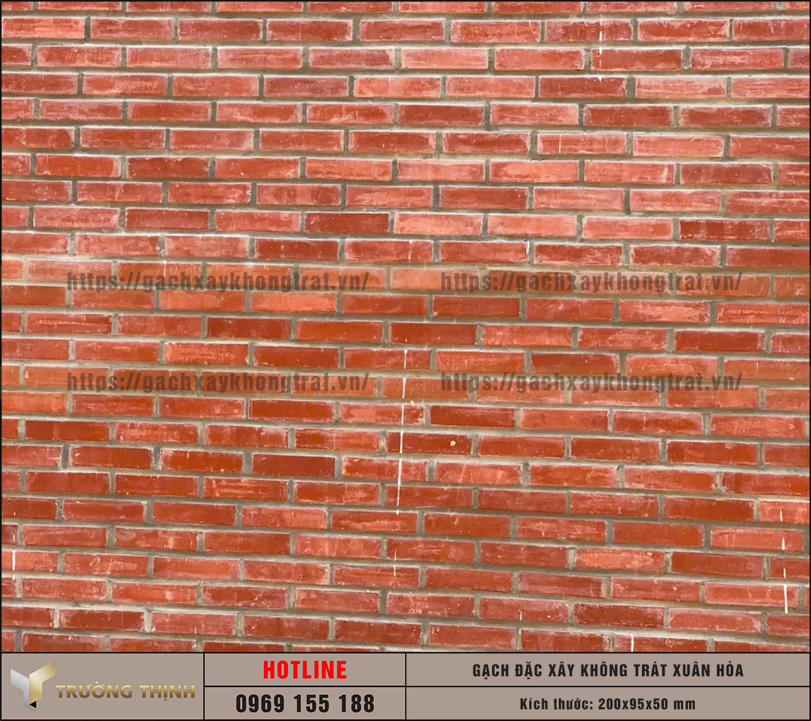 Báo giá gạch xây không trát xây tường nhà thờ tại nhà máy cập nhật 2026