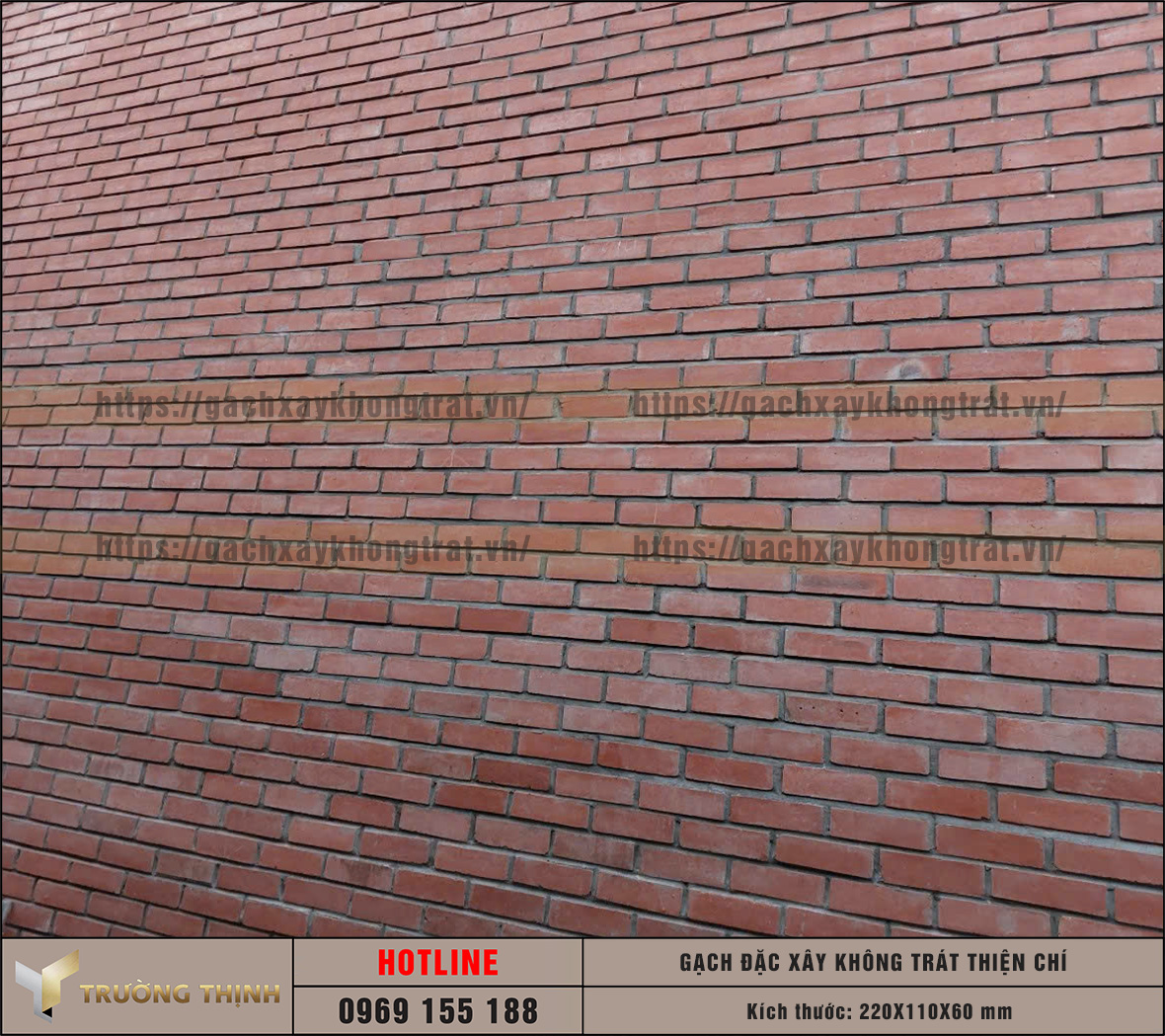 Báo giá gạch xây không trát xây tường nhà thờ tại nhà máy cập nhật 2026