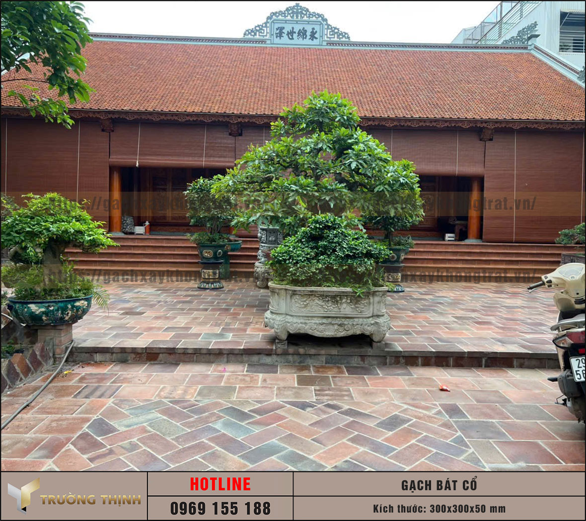   Báo giá gạch cổ 300x300x50 lát nền đẹp, siêu bền | Trường Thịnh Group