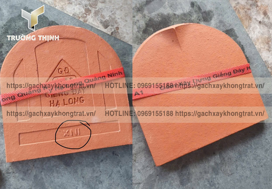 Ngói hài 150 Giếng Đáy Hạ Long được Trường Thịnh trình mẫu
