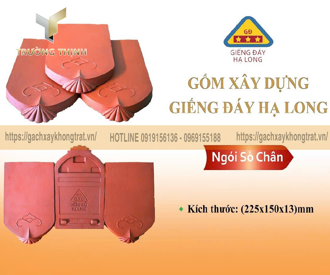 Ngói sò cổ Giếng Đáy Hạ Long có chân