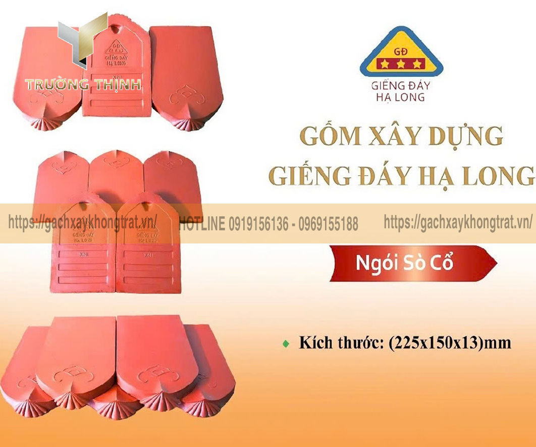 Ngói sò cổ Giếng Đáy Hạ Long không chân