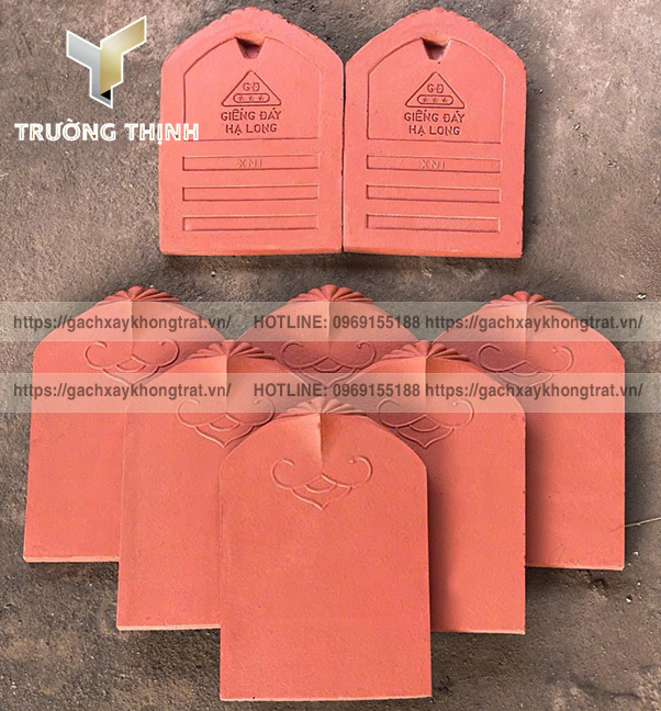 Báo Giá Ngói Sò Cổ Không Chân Giếng Đáy Hạ Long Mới Nhất | Trường Thịnh