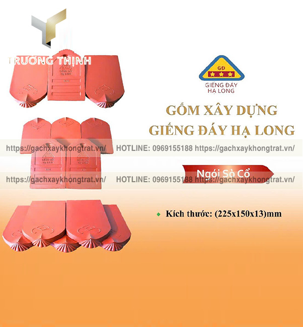 Báo giá ngói sò cổ không chân Giếng Đáy Hạ Long 