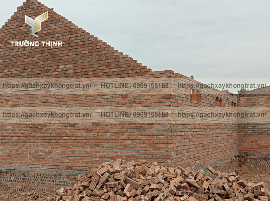 Gạch Đặc Từ Sơn Không Trát: Giải Pháp Kiến Trúc Ấn Tượng Cho Mọi Dự Án