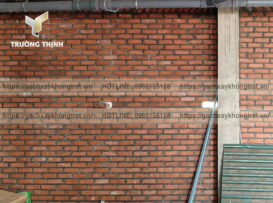 Gạch Đặc Từ Sơn Không Trát: Giải Pháp Kiến Trúc Ấn Tượng Cho Mọi Dự Án