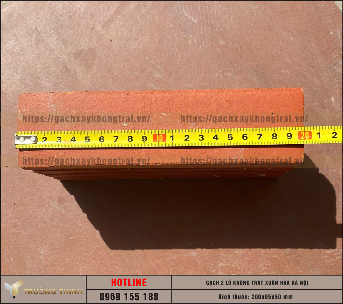 Cập nhật báo giá gạch 2 lỗ xây không trát Xuân Hòa Hà Nội mới nhất 2026 | Trường Thịnh Group