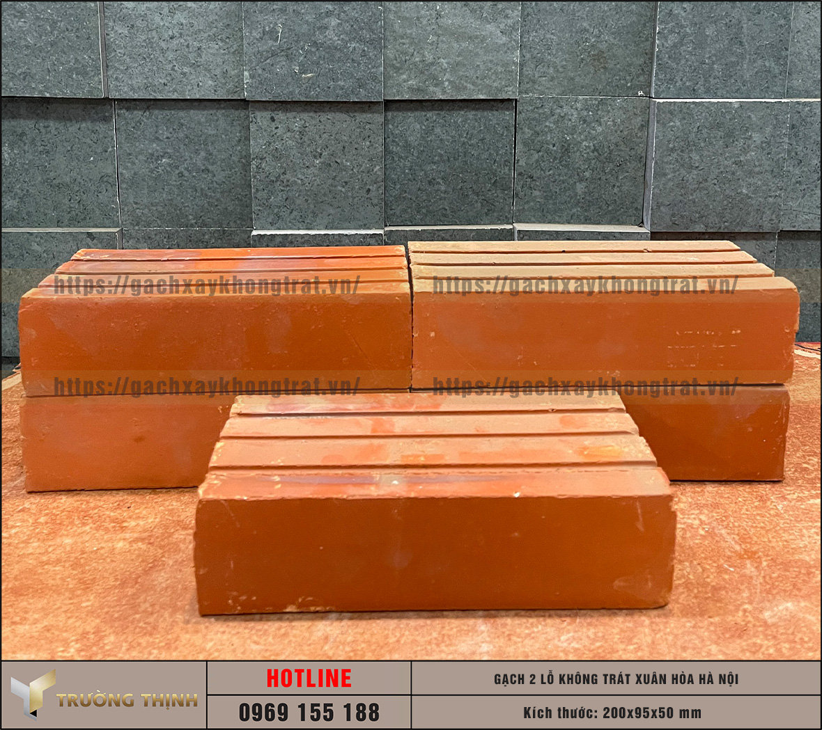 Cập nhật báo giá gạch 2 lỗ xây không trát Xuân Hòa Hà Nội mới nhất 2026 | Trường Thịnh Group