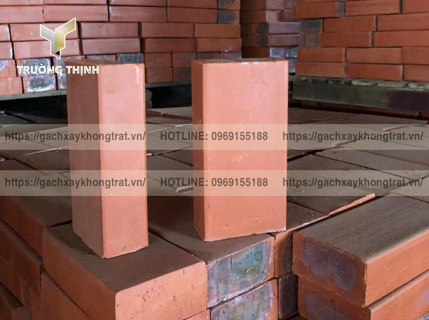 Chọn gạch đặc xây không trát lát nền sân vườn đẹp? Gạch Từ Sơn, Xuân Hòa