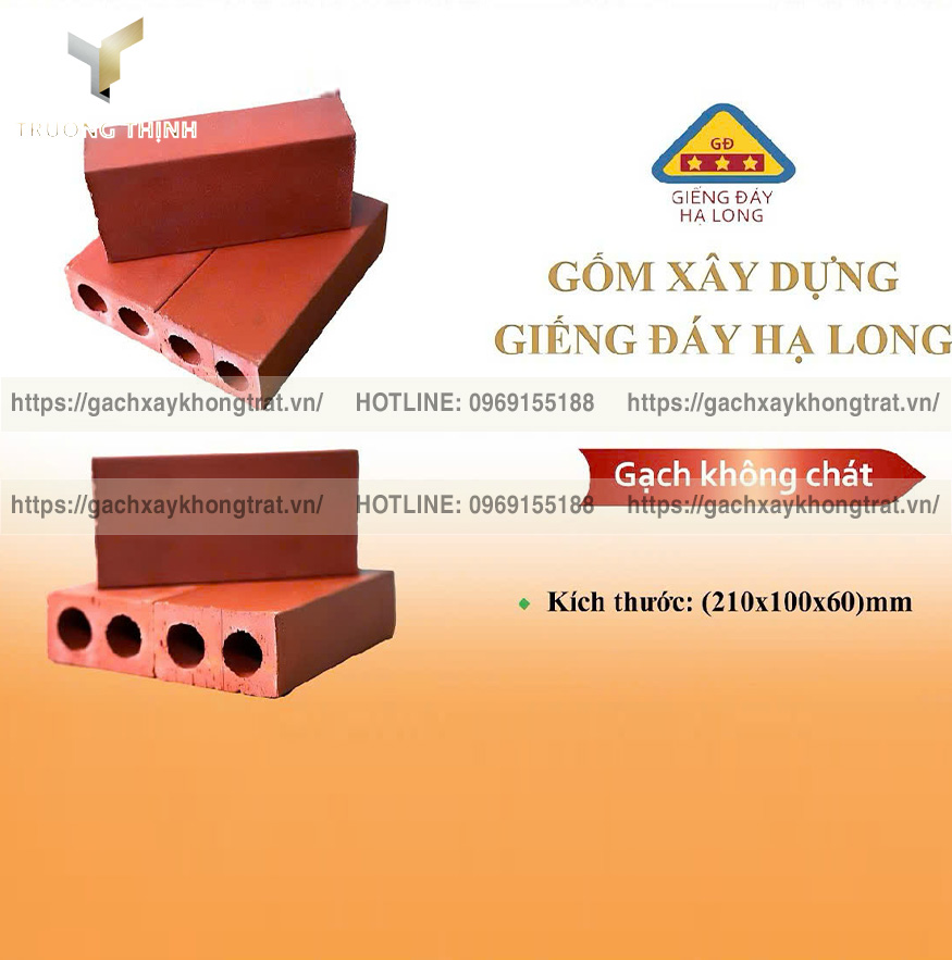 Gạch xây không trát 2 lỗ Giếng Đáy cho công trình công cộng: Ưu điểm, ứng dụng & Địa chỉ phân phối