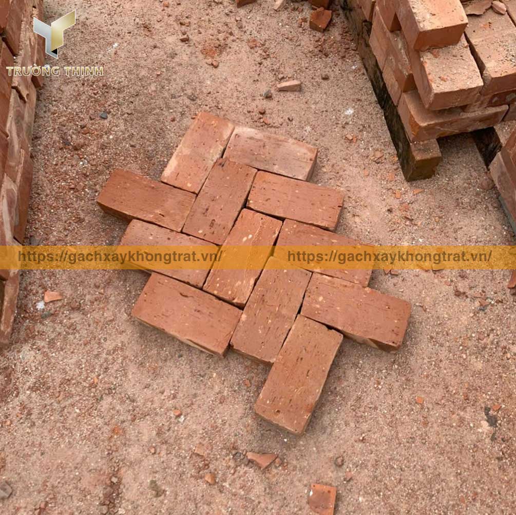 Trường Thịnh tổng đại lý phân phối gạch đặc xây không trát giá ưu đãi