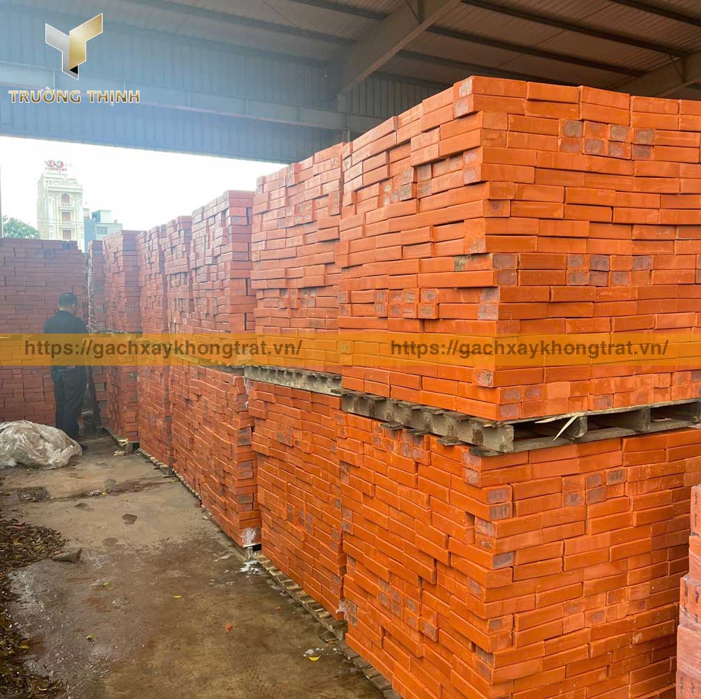 Trường Thịnh tổng đại lý phân phối gạch đặc xây không trát giá ưu đãi