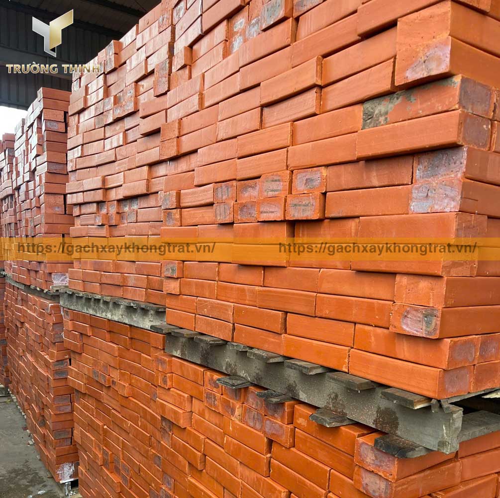 Trường Thịnh tổng đại lý phân phối gạch đặc xây không trát giá ưu đãi