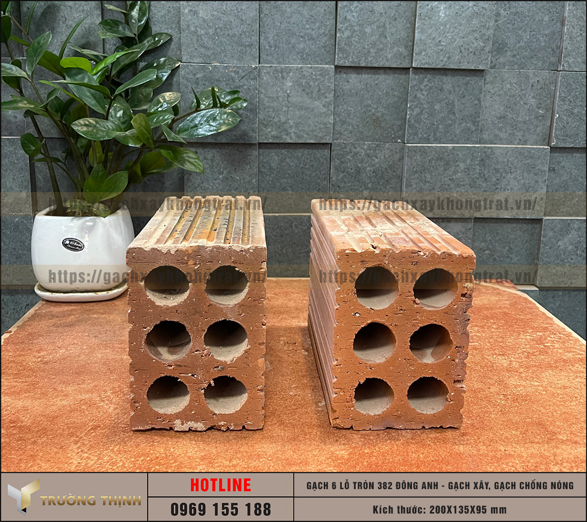 Chọn mua gạch chống nóng 6 lỗ giá rẻ từ nhà máy: Giải pháp tối ưu cho công trình hiện đại