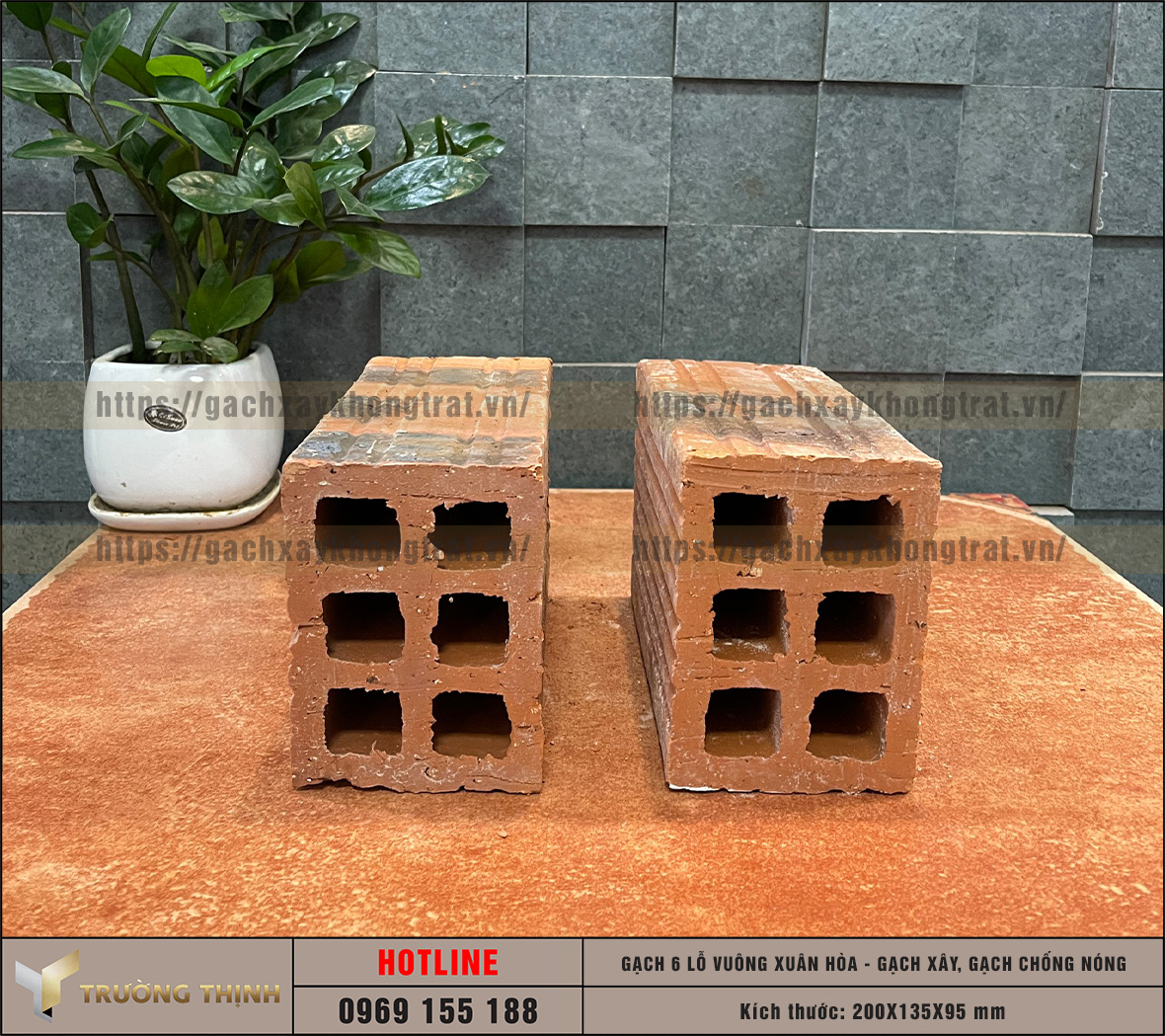 Chọn mua gạch chống nóng 6 lỗ giá rẻ từ nhà máy: Giải pháp tối ưu cho công trình hiện đại