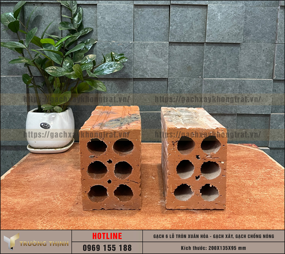 Chọn mua gạch chống nóng 6 lỗ giá rẻ từ nhà máy: Giải pháp tối ưu cho công trình hiện đại