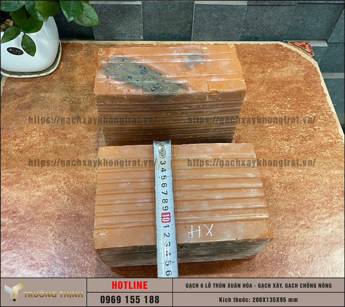 Chọn mua gạch chống nóng 6 lỗ giá rẻ từ nhà máy: Giải pháp tối ưu cho công trình hiện đại