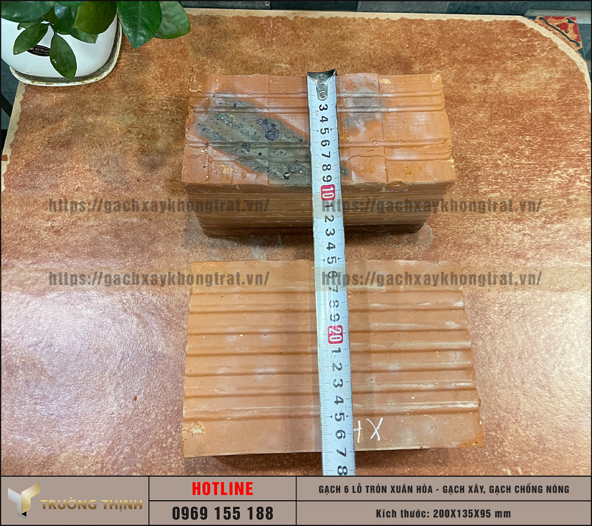 Chọn mua gạch chống nóng 6 lỗ giá rẻ từ nhà máy: Giải pháp tối ưu cho công trình hiện đại