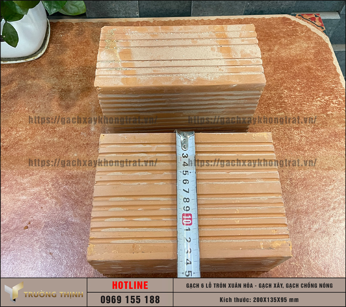 Chọn mua gạch chống nóng 6 lỗ giá rẻ từ nhà máy: Giải pháp tối ưu cho công trình hiện đại