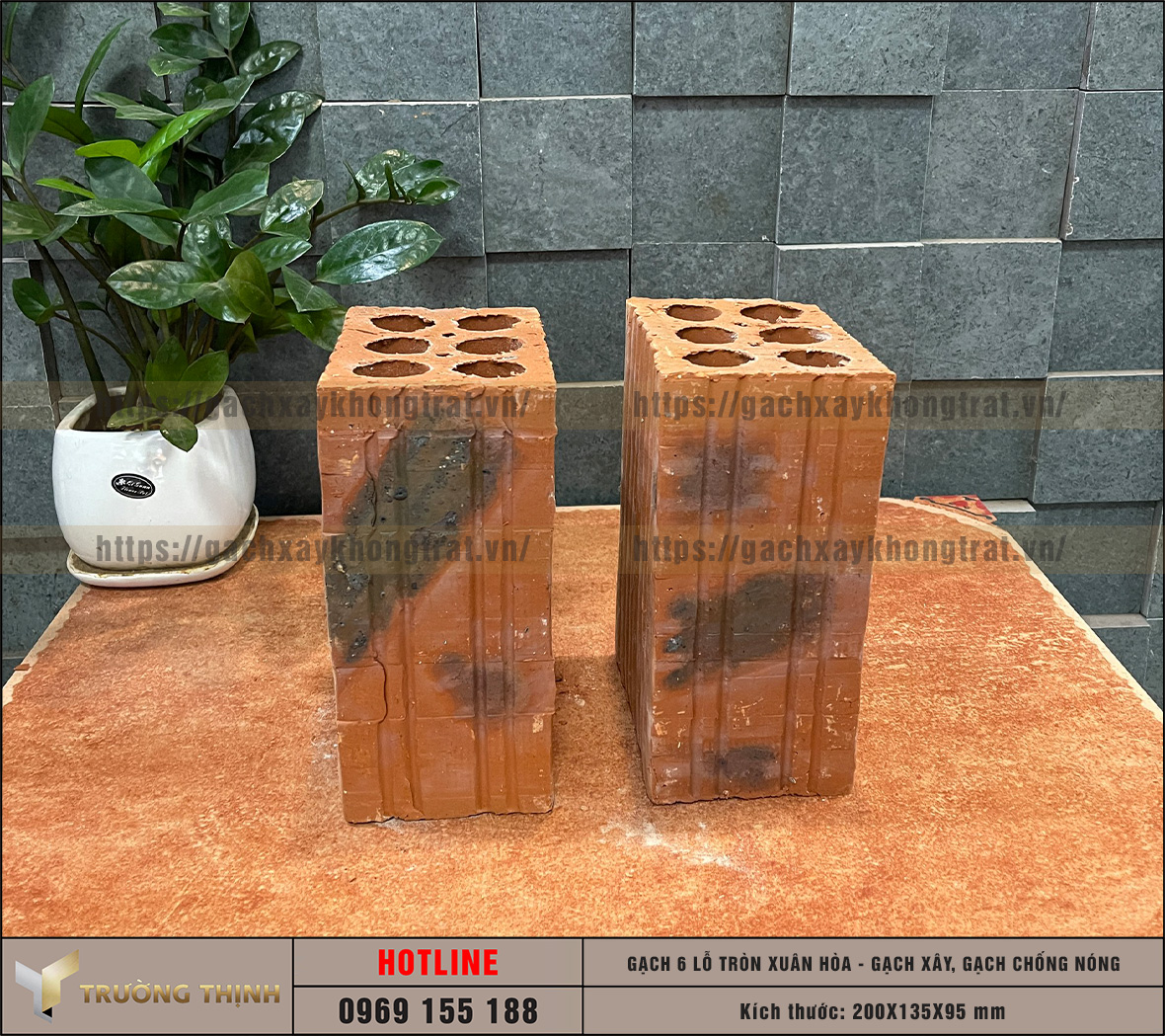 Chọn mua gạch chống nóng 6 lỗ giá rẻ từ nhà máy: Giải pháp tối ưu cho công trình hiện đại