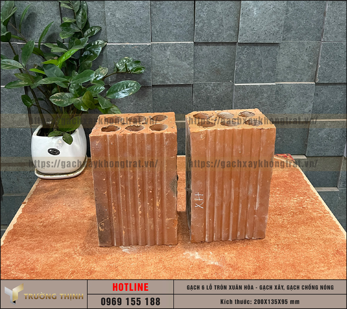 Chọn mua gạch chống nóng 6 lỗ giá rẻ từ nhà máy: Giải pháp tối ưu cho công trình hiện đại