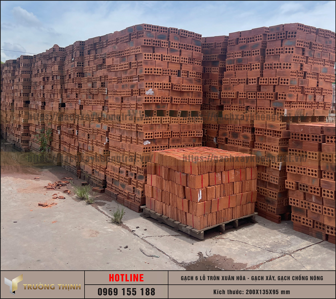 Chọn mua gạch chống nóng 6 lỗ giá rẻ từ nhà máy: Giải pháp tối ưu cho công trình hiện đại