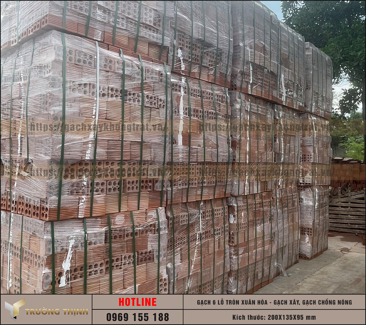 Chọn mua gạch chống nóng 6 lỗ giá rẻ từ nhà máy: Giải pháp tối ưu cho công trình hiện đại