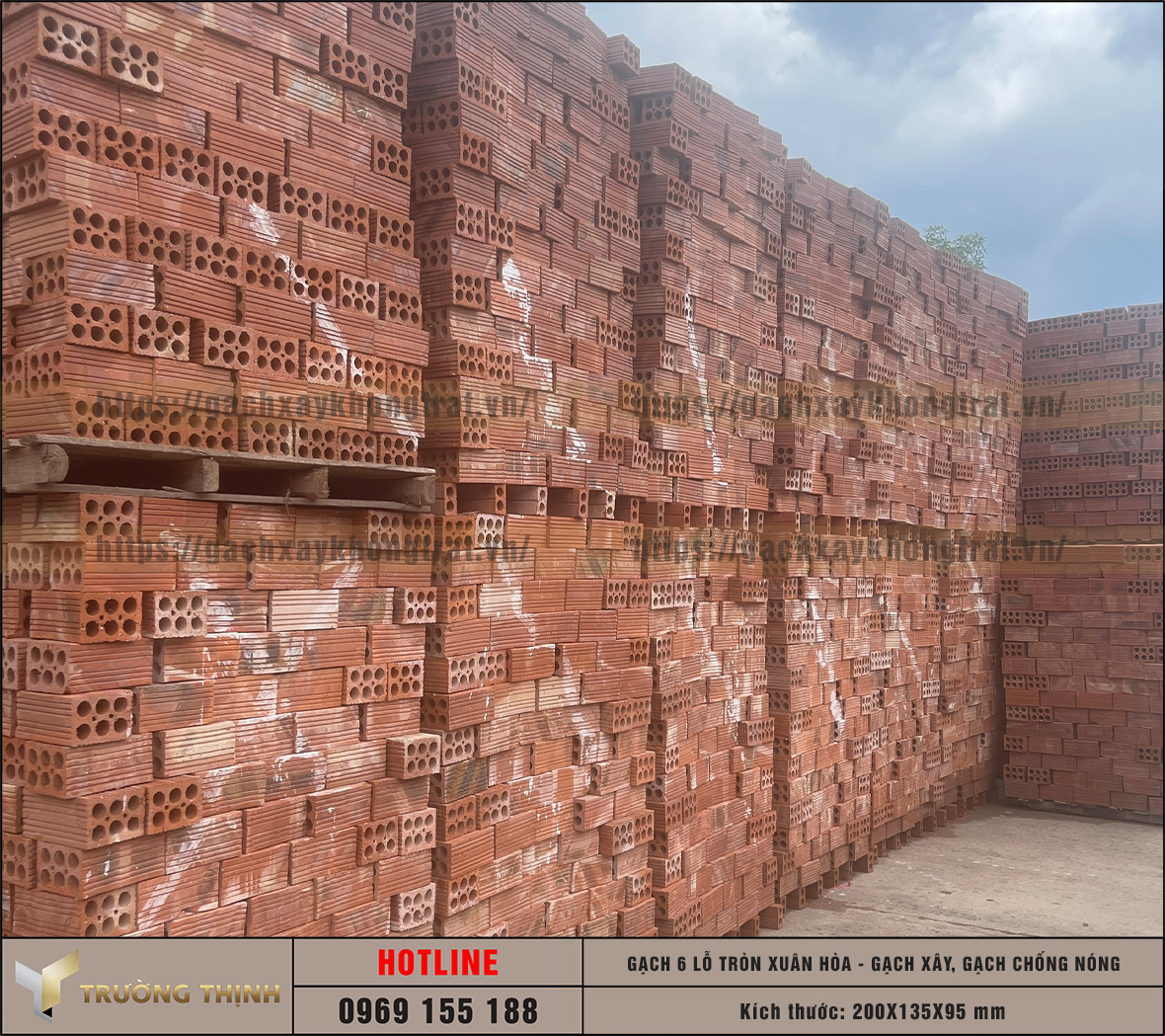 Chọn mua gạch chống nóng 6 lỗ giá rẻ từ nhà máy: Giải pháp tối ưu cho công trình hiện đại
