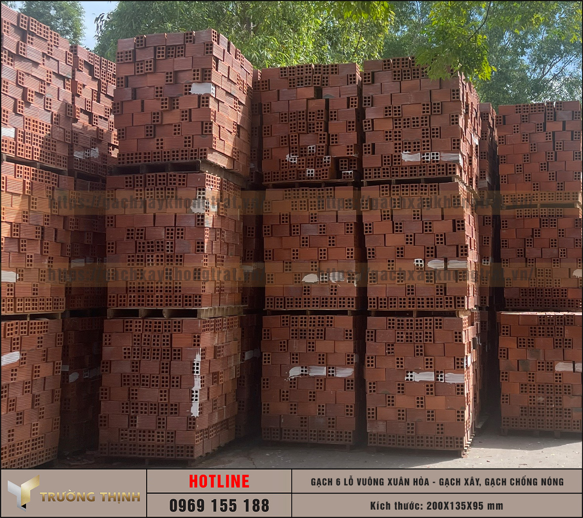 Chọn mua gạch chống nóng 6 lỗ giá rẻ từ nhà máy: Giải pháp tối ưu cho công trình hiện đại