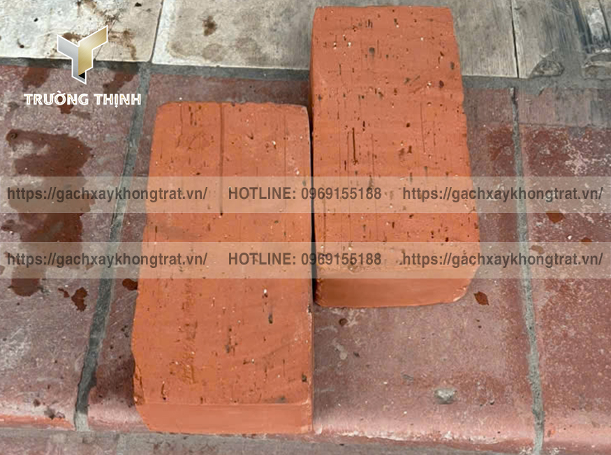 Tư vấn chọn mua gạch đặc không trát 210x100x60 lát nền nhà, lát sân vườn đẹp