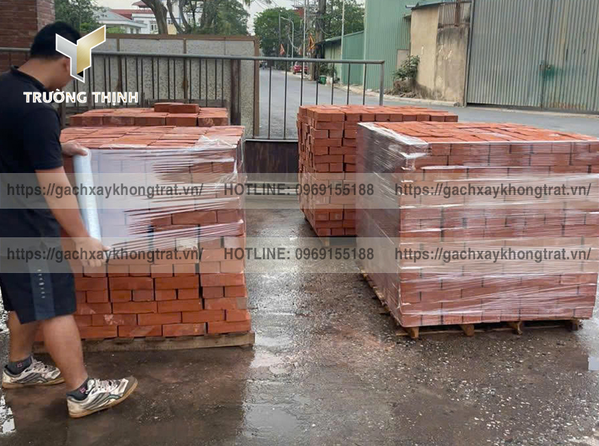 Tư vấn chọn mua gạch đặc không trát 210x100x60 lát nền nhà, lát sân vườn đẹp