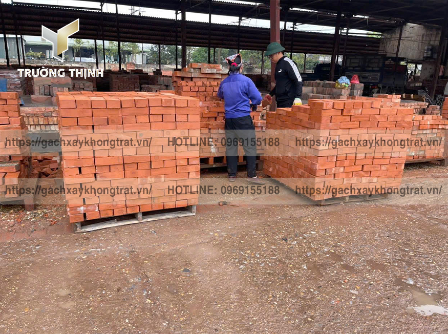 Tư vấn chọn mua gạch đặc không trát 210x100x60 lát nền nhà, lát sân vườn đẹp