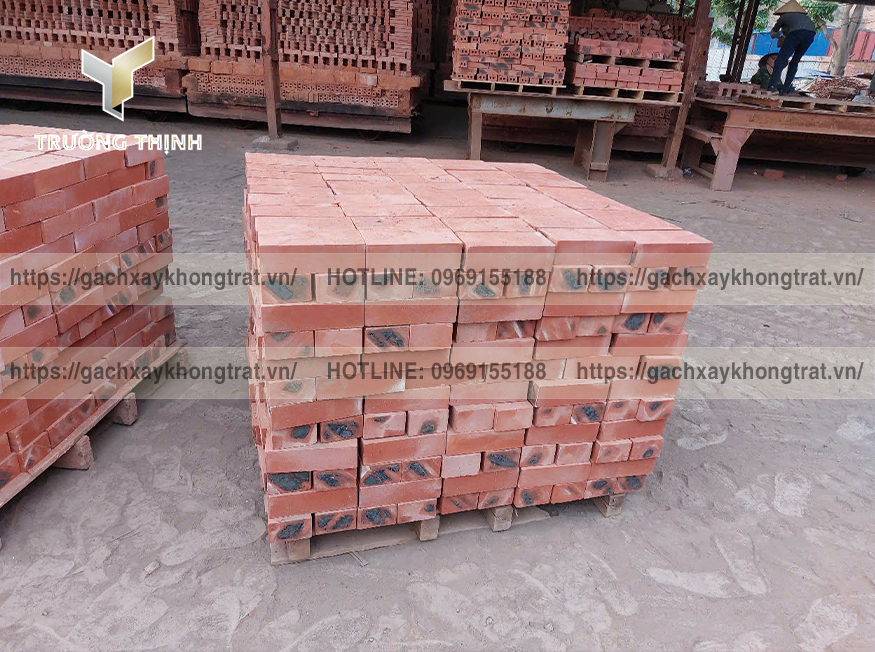 Giải đáp toàn diện về việc sử dụng gạch xây không trát Thiện Chí cho nhà cấp 4. Phân tích ưu nhược điểm, chi phí, thẩm mỹ và lời khuyên chuyên gia. Phân phối bởi Trường Thịnh Group.