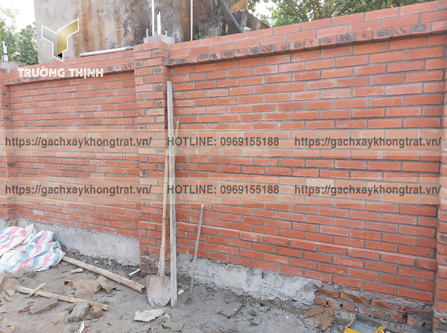 Giải đáp toàn diện về việc sử dụng gạch xây không trát Thiện Chí cho nhà cấp 4. Phân tích ưu nhược điểm, chi phí, thẩm mỹ và lời khuyên chuyên gia. Phân phối bởi Trường Thịnh Group.