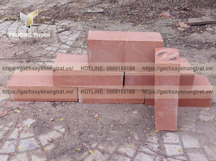 Giải đáp toàn diện về việc sử dụng gạch xây không trát Thiện Chí cho nhà cấp 4. Phân tích ưu nhược điểm, chi phí, thẩm mỹ và lời khuyên chuyên gia. Phân phối bởi Trường Thịnh Group.