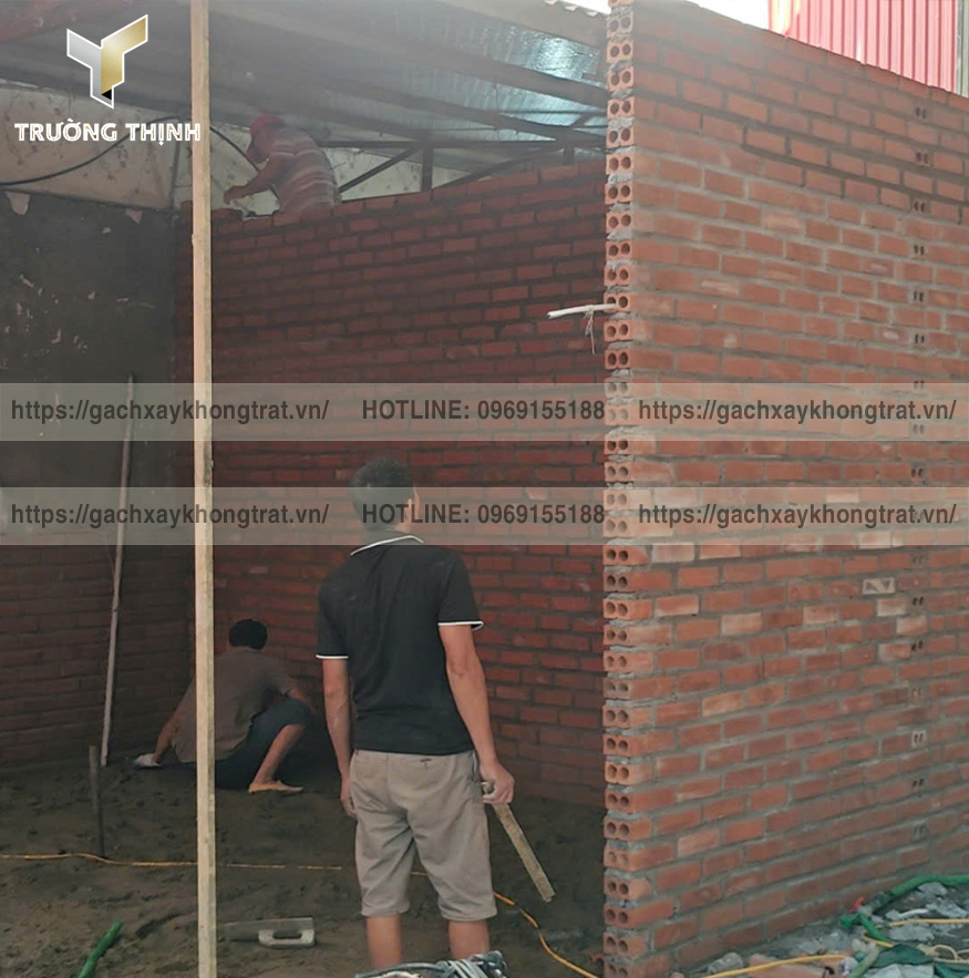 Gạch 2 Lỗ Xây Tường Không Trát Giá Rẻ - Giải Pháp Hiện Đại & Bền Vững