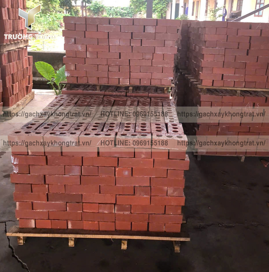   Gạch 3 Lỗ Xây Không Trát: Giải Pháp Tối Ưu Cho Tường Trang Trí Hiện Đại
