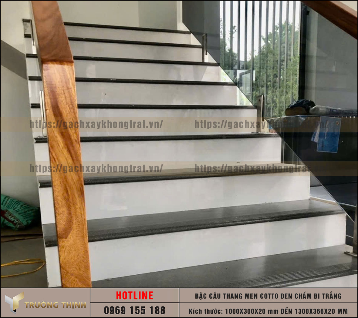 Gạch bậc cầu thang men Cotto đen chấm bi trắng Đất Việt