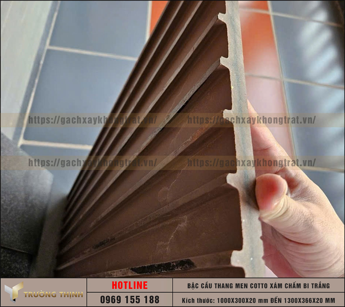 Gạch bậc cầu thang men Cotto xám chấm bi trắng Đất Việt