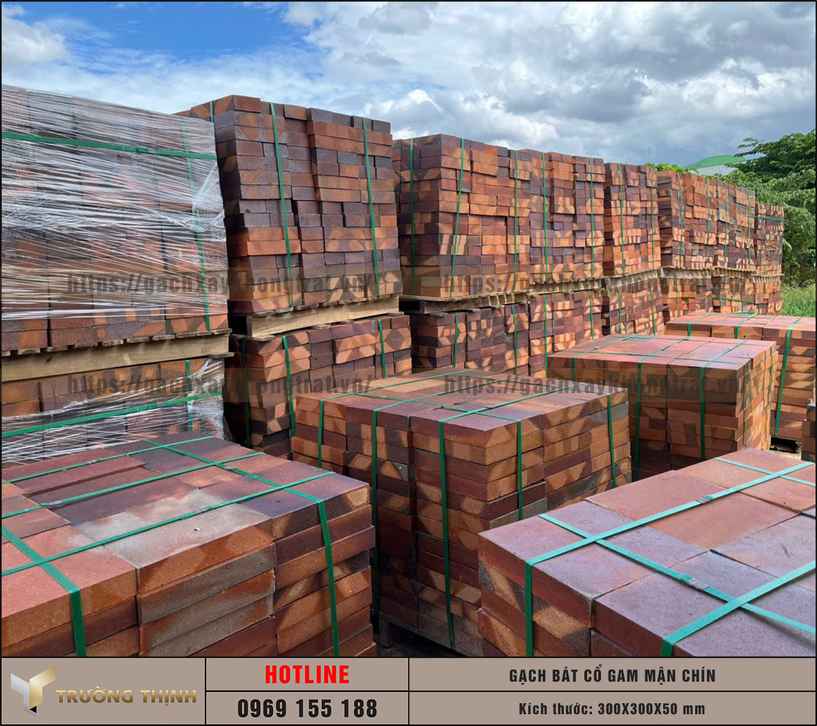 Báo giá gạch bát cổ gam màu mận chín 300x300x50: Sự lựa chọn số 1 cho các công trình tâm linh