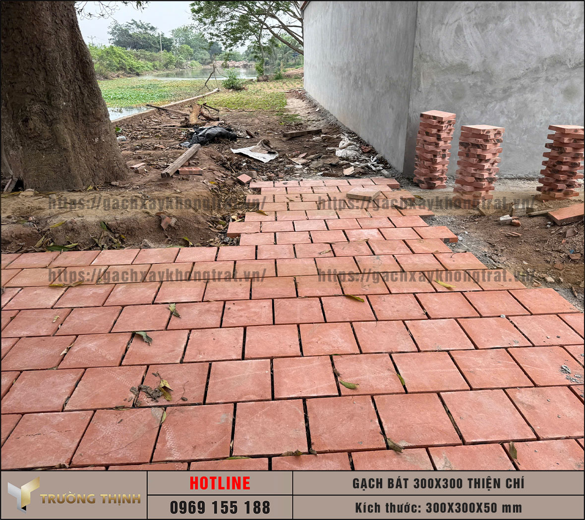 Gạch bát 300x300x50 Thiện Chí