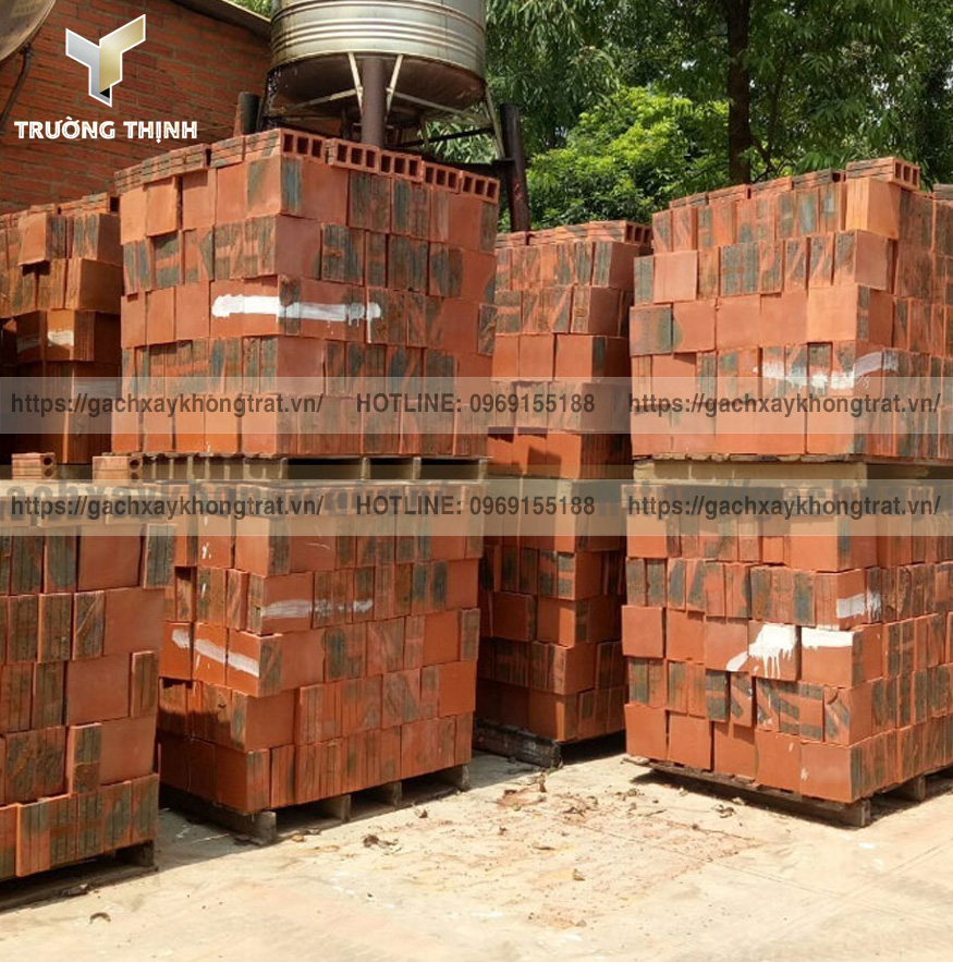 Gạch 3 Lỗ 200x200x90 Xuân Hòa - Giải Pháp Chống Nóng Mái & Sân Thượng Hiệu Quả Nhất