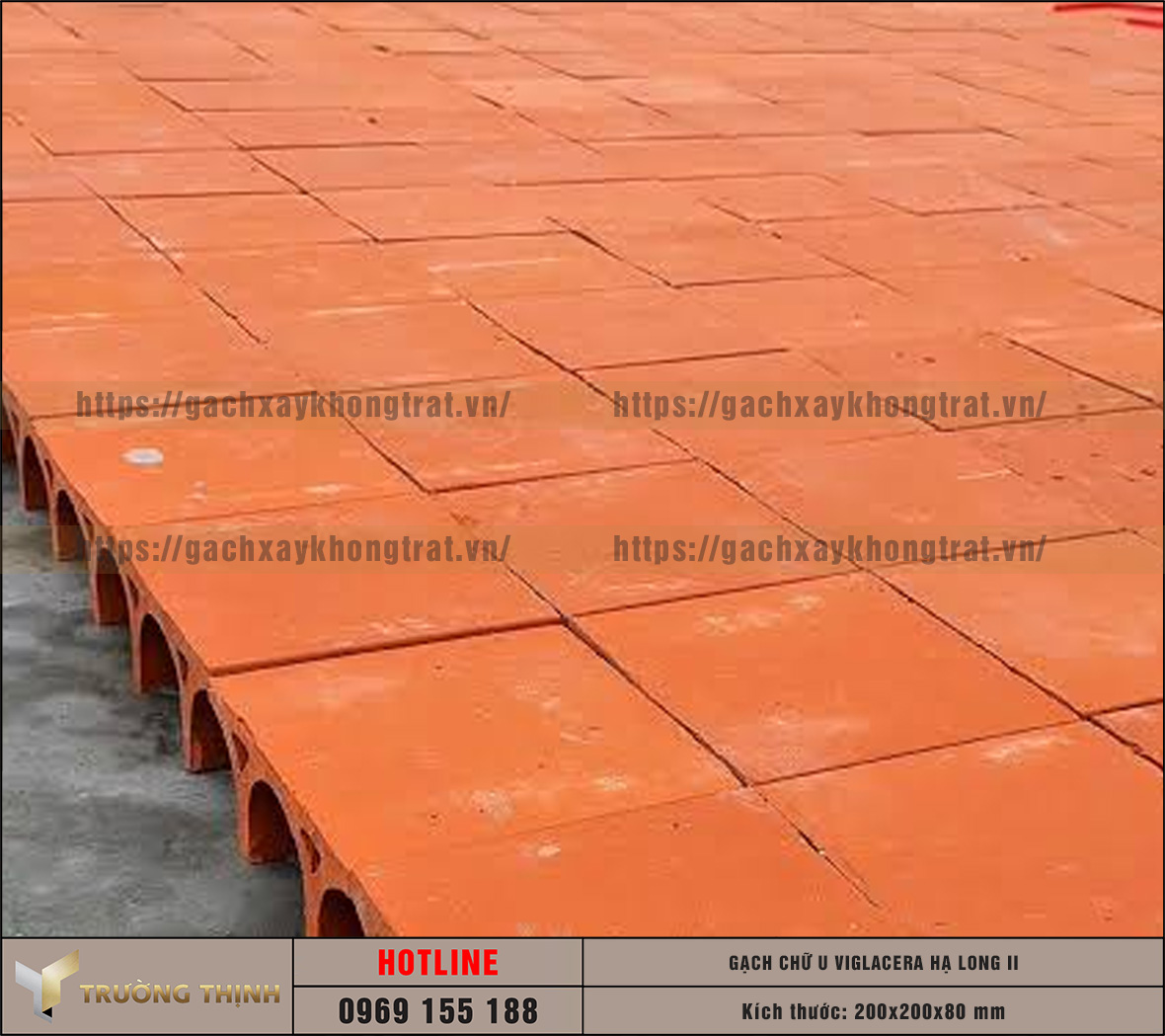 Báo giá gạch chống nóng chữ U Viglacera Hạ Long II mới nhất 2026 | Trường Thịnh Group