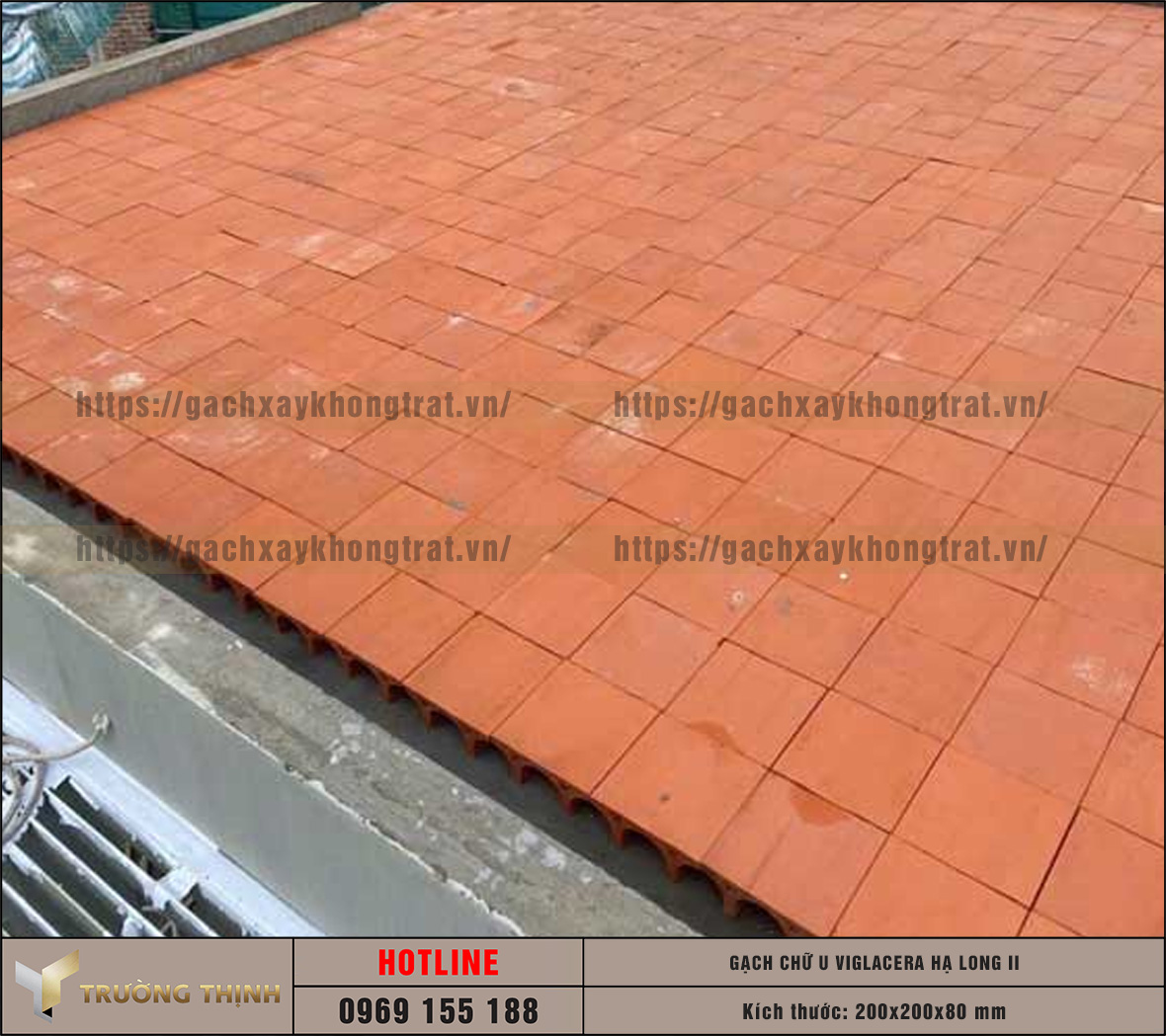 Báo giá gạch chống nóng chữ U Viglacera Hạ Long II mới nhất 2026 | Trường Thịnh Group